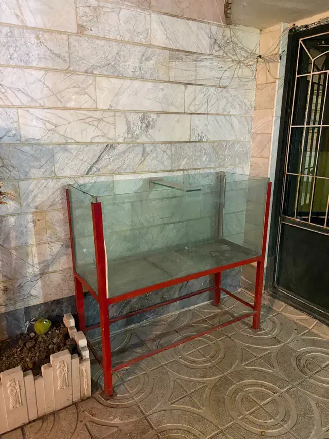 اکواریوم ۶میل با پایه اهنی|ماهی|اردبیل, |دیوار