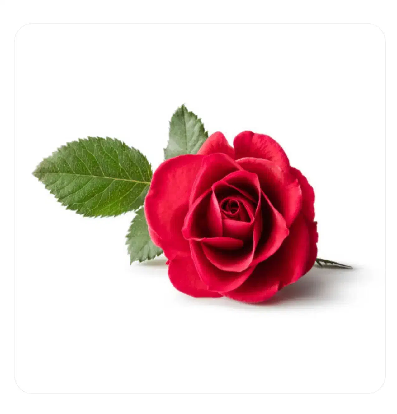 مشاوره رایگان تمامی امور شخصی و خانوادگی|فعالیت داوطلبانه|لاهیجان, شقایق|دیوار