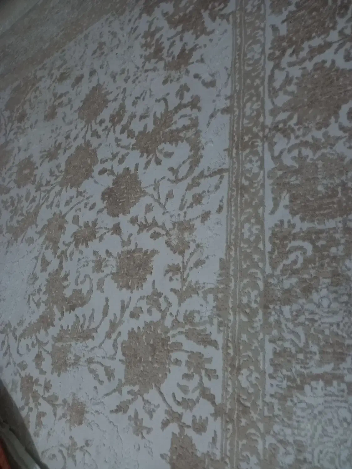 فرش ۱۲ متری|فرش|گرگان, |دیوار