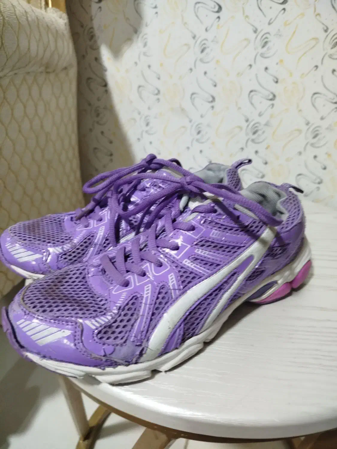 کفش|کیف، کفش، کمربند|بیرجند, |دیوار