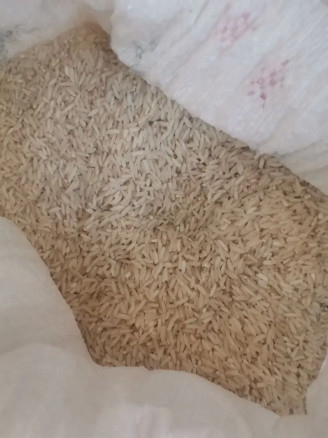 برنج هاشمی در جه یک گیلان|حراج|کرج, کوی مدرس|دیوار