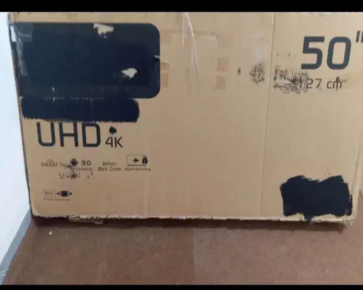 تلویزیون|تلویزیون و پروژکتور|باغستان, |دیوار