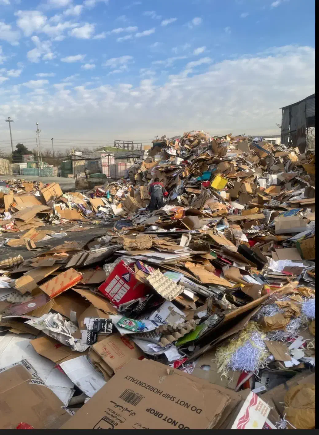 خرید ضایعات و کارتن|عمدهفروشی|ری, ظهیرآباد|دیوار