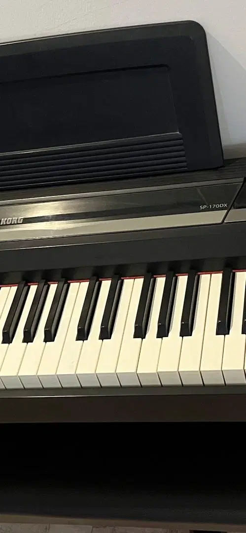 پیانو korg مدل sp170dx|پیانو، کیبورد، آکاردئون|تهران, شهرک کوهسار|دیوار