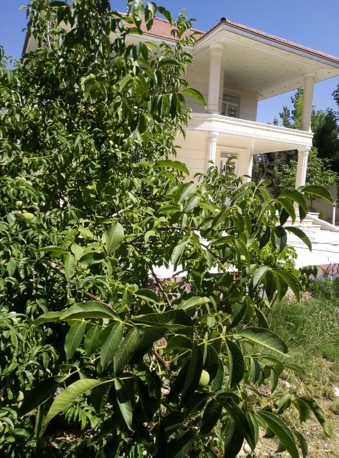 اجاره روزانه باغ ویلا  سپیدان هما شهر|اجارهٔ کوتاه‌مدت ویلا و باغ|همایجان, |دیوار