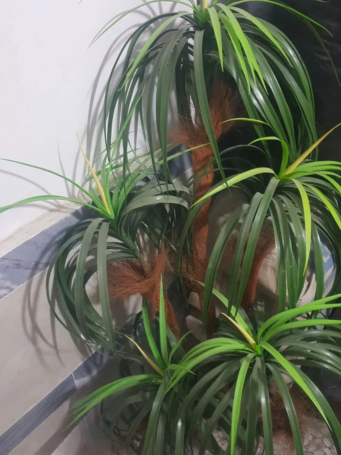 گل درخت نخل|گل مصنوعی|ارومیه, |دیوار