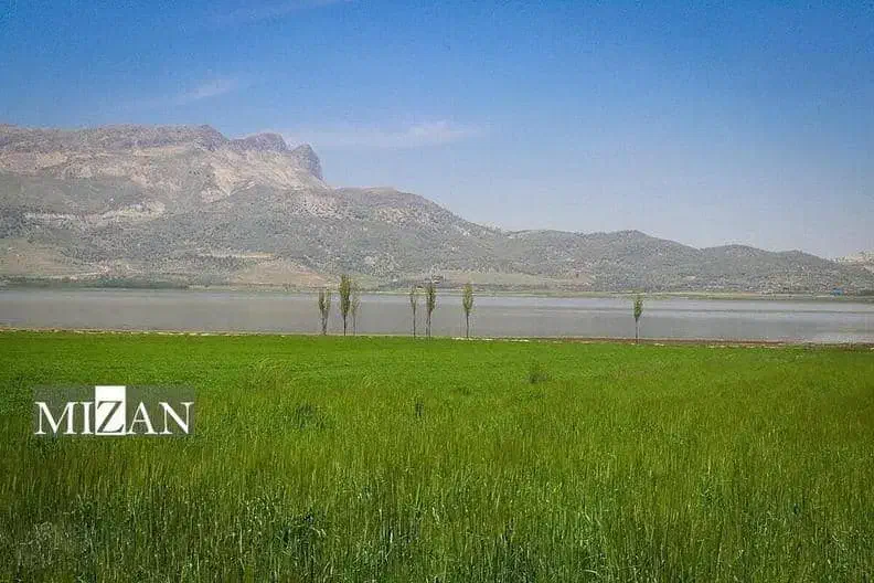 راهنمایی کنید|فعالیت داوطلبانه|شیراز, جانبازان|دیوار