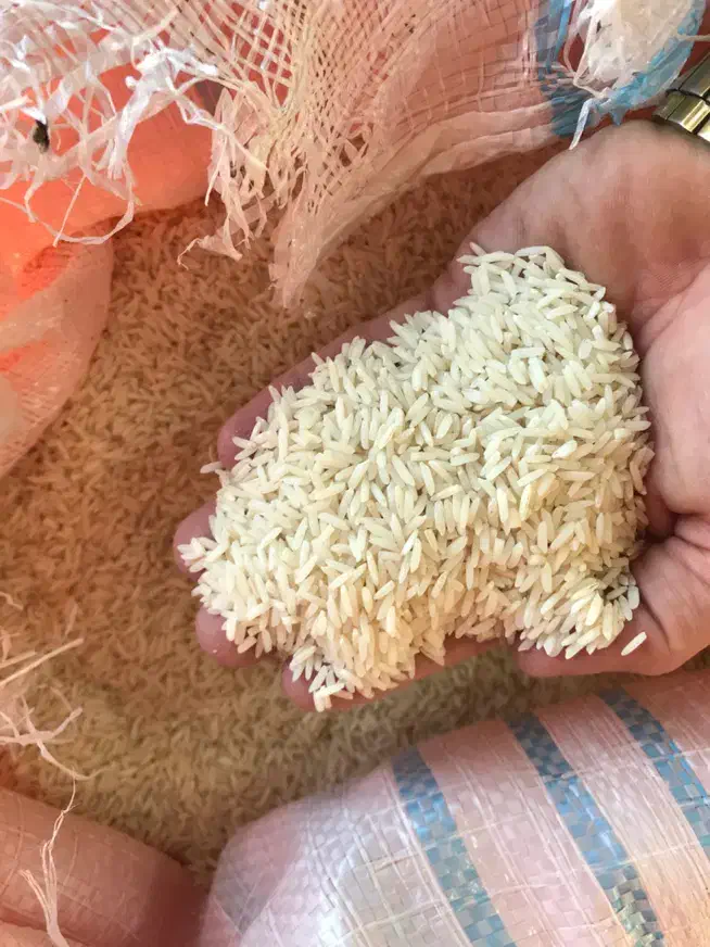 برنج هاشمی درجه ۱ آستانه|خوردنی و آشامیدنی|مشهد, سجادیه|دیوار