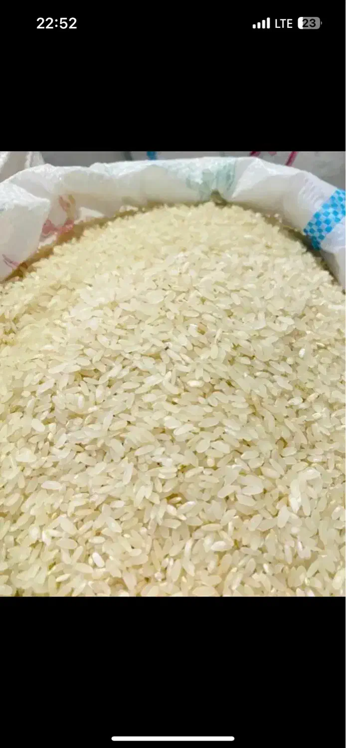 خریدوفروش برنج کامفیروزی|خوردنی و آشامیدنی|شیراز, گلشن|دیوار