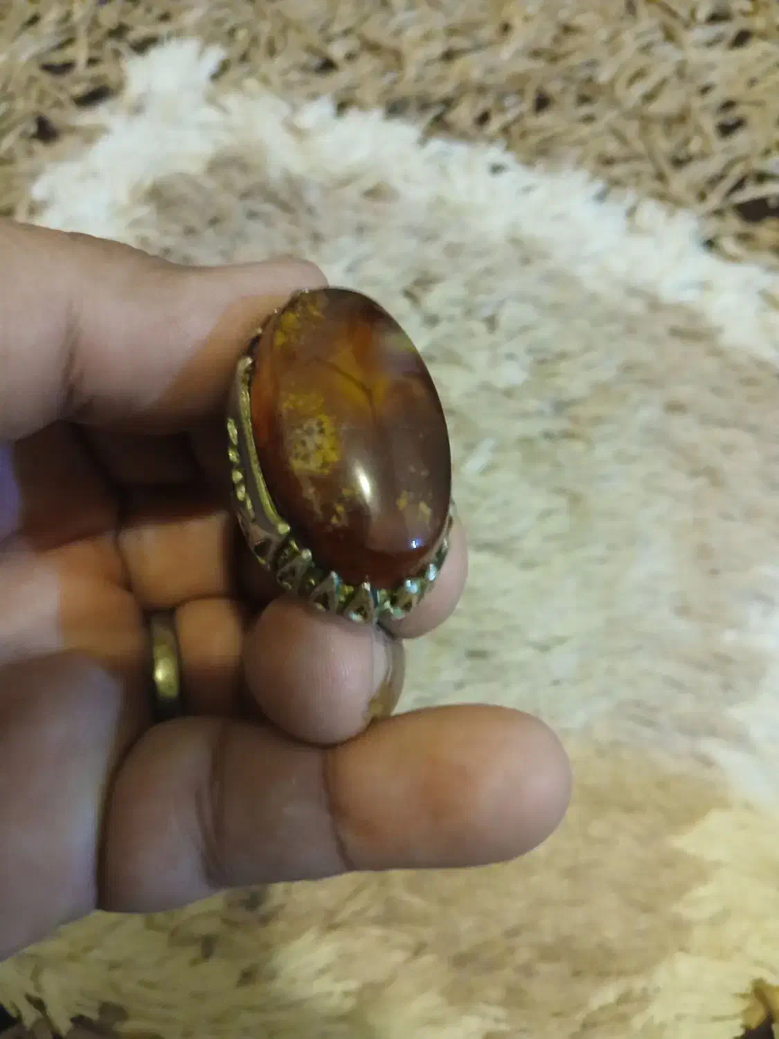 معاوضه با طوطی|جواهرات|جیرفت, |دیوار