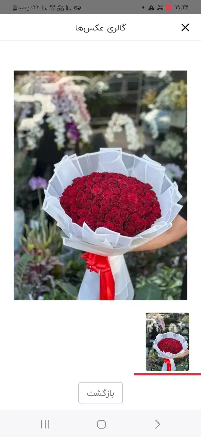 تاج گل جام گل گل فروشی|گل و گیاه طبیعی|تهران, افسریه جنوبی|دیوار