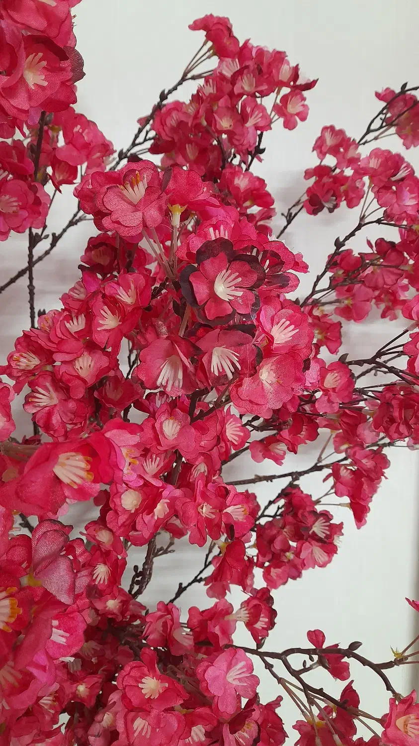 درخچه شکوفه|گل و گیاه طبیعی|کهریزک, |دیوار