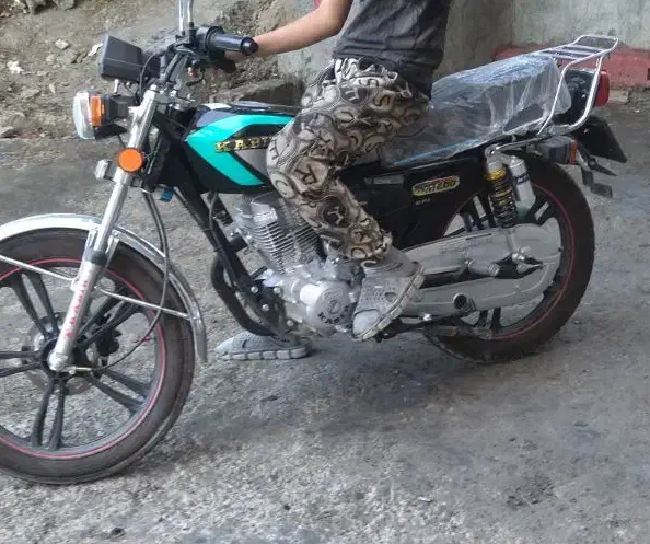 موتور 200کبیر|موتورسیکلت|سنندج, |دیوار