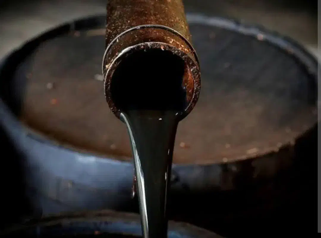 خریدار روغن سوخته به صورت عمده و کلی حتی گالن|خدمات پیشه و مهارت|مشهد, شهید معقول|دیوار