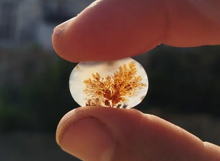 سنگ شجر|جواهرات|سرپل ذهاب, |دیوار