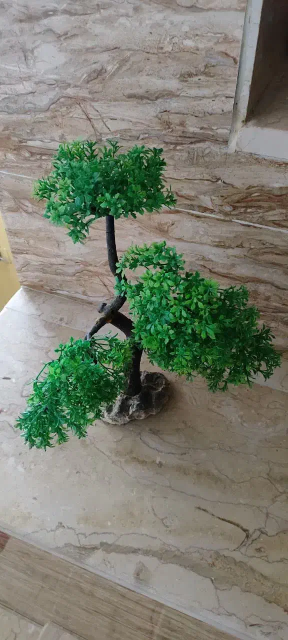 آکواریوم شرکتی بزرگ ماهیران با کلیه متعلقات|ماهی|یزد, |دیوار