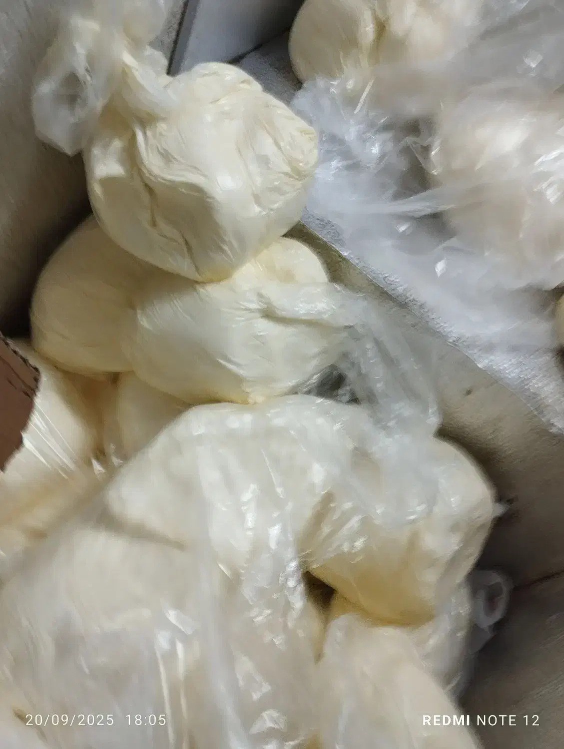 کره تازه روستایی|خوردنی و آشامیدنی|قائن, |دیوار