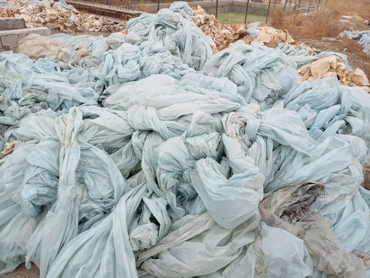 فروش نایلون و کاغذ و کارتون تولید قارچ|ظروف نگهدارنده، پلاستیکی، یکبارمصرف|نظرآباد, شهرک سید جمال الدین|دیوار