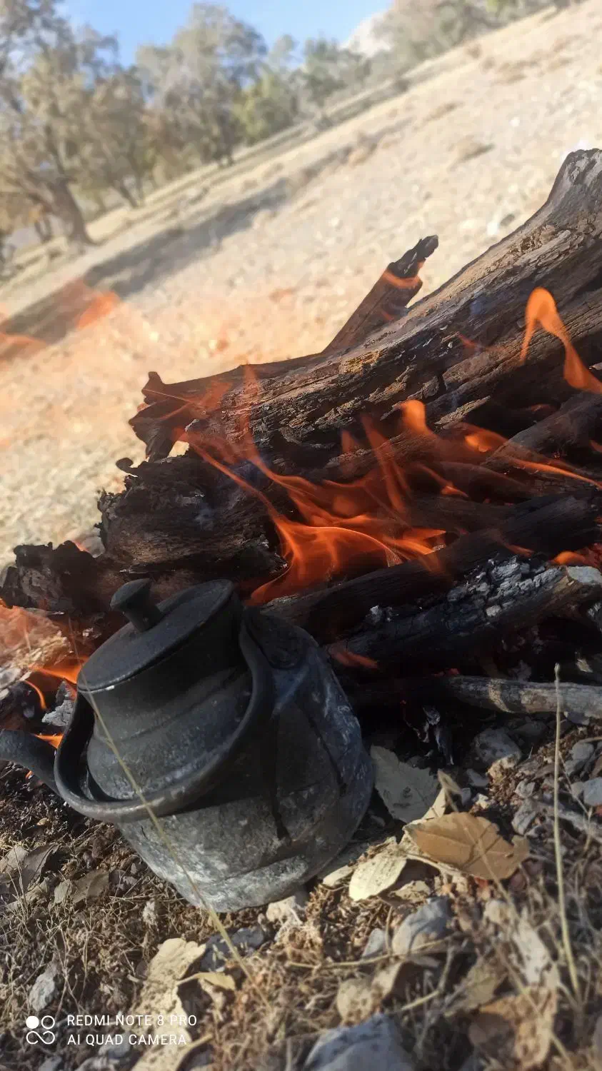 لطفا توجه کنید|فعالیت داوطلبانه|دهلران, |دیوار