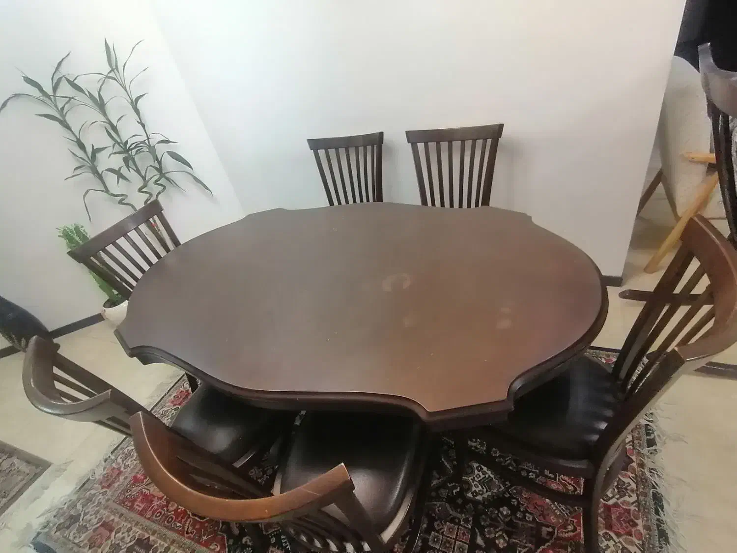 میز 6 نفره|میز و صندلی غذاخوری|شیراز, فرهنگ شهر|دیوار