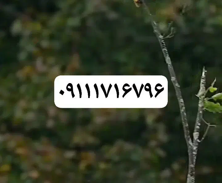 خط یک گرگان۰۹۱۱۱۷۱۶۷۹۶|سیم‌کارت|گرگان, |دیوار