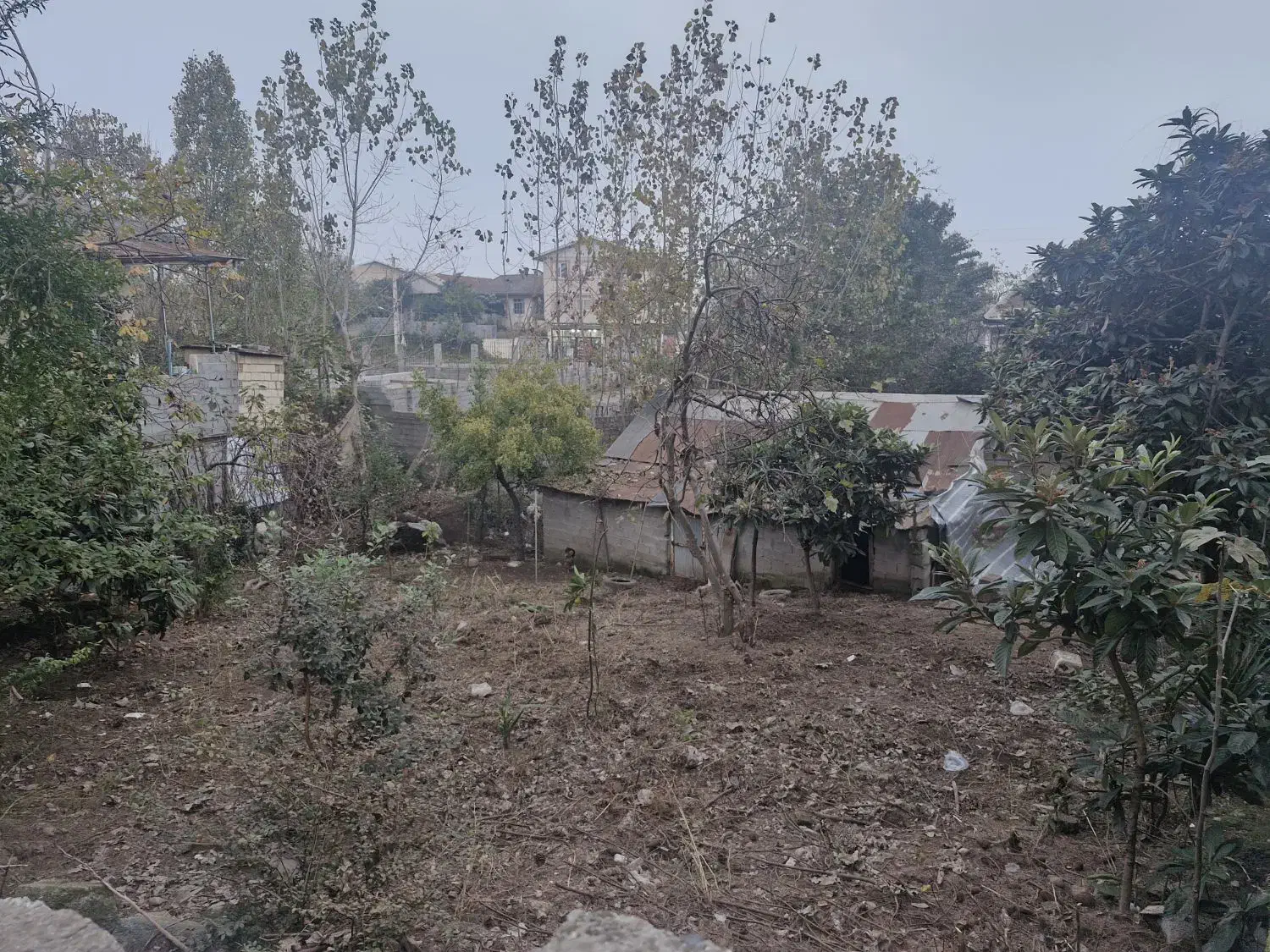 زمین۲۸۵متر سندثبتی تالش ترشابر|فروش زمین و ملک کلنگی|تالش, هشتپر|دیوار