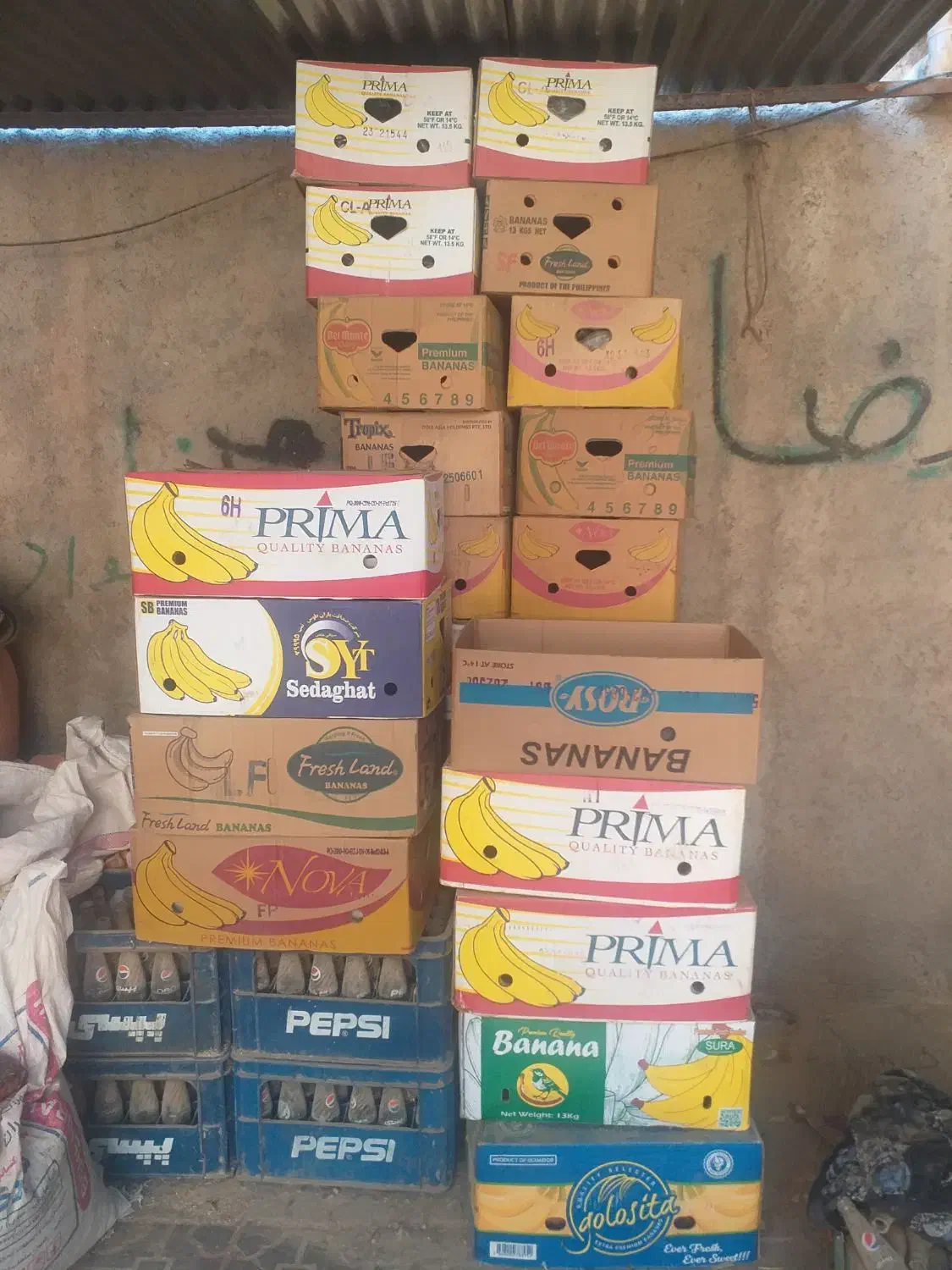 کارتون موزی|عمده‌فروشی|نیشابور, فضل|دیوار