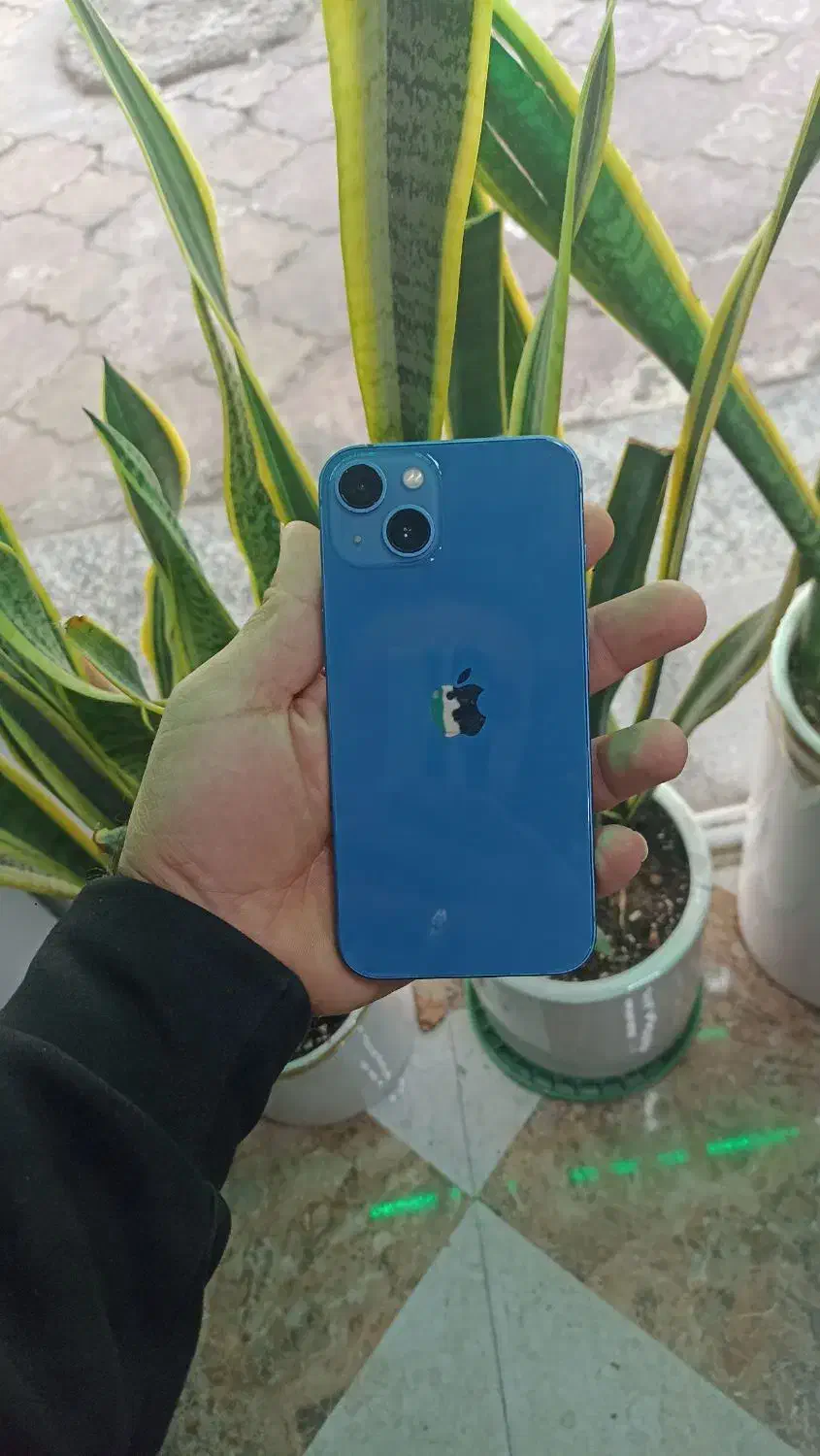 ایفون 13 نرمال و پرومکس 512|موبایل|شوش, |دیوار