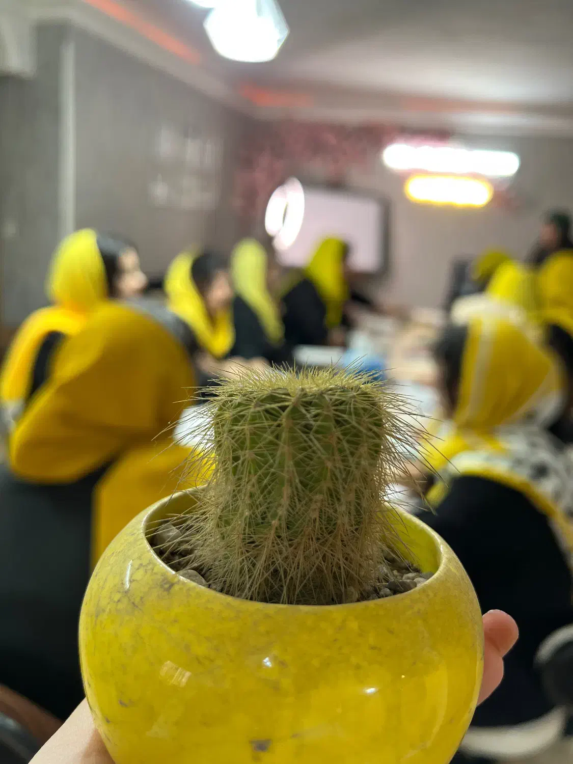 اموزش تتوی چهره و بدن و اشتغال به کار|خدمات آموزشی|رشت, گلسار|دیوار