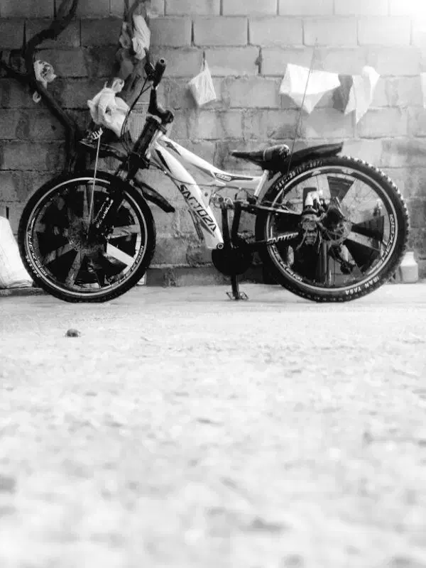 دوچرخه 24|دوچرخه، اسکیت، اسکوتر|بجنورد, |دیوار