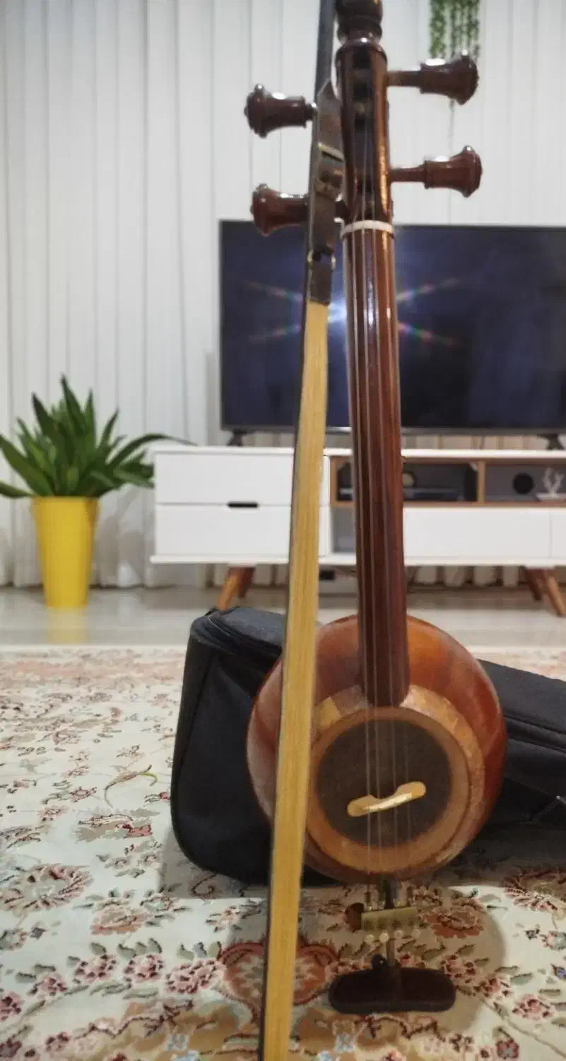 کمانچه|سازهای سنتی|رشت, فلسطین|دیوار