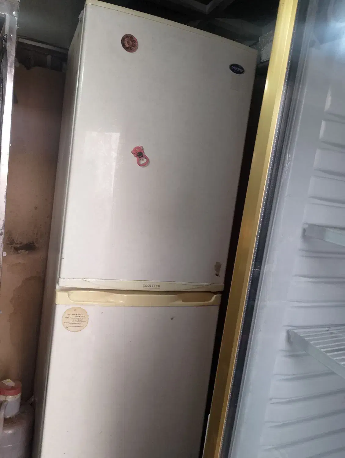 حراج|سایر لوازم برقی|پرند, فاز ۶|دیوار