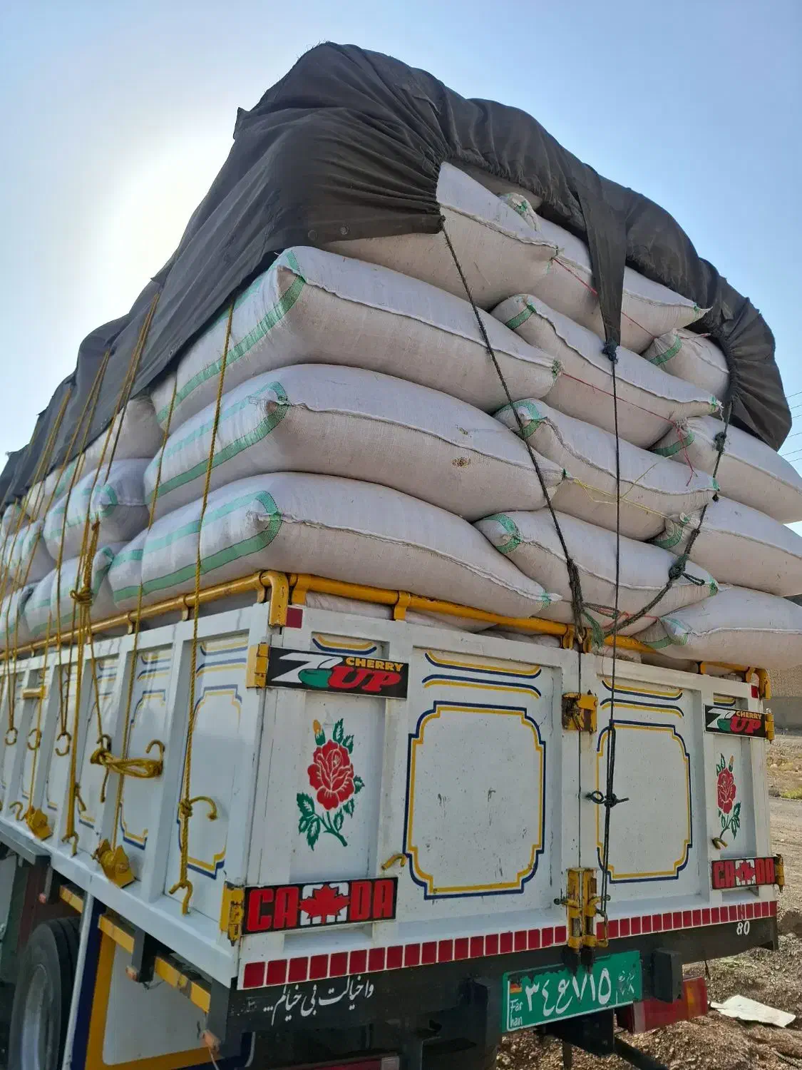 گاه گندم|عمده‌فروشی|اردستان, |دیوار