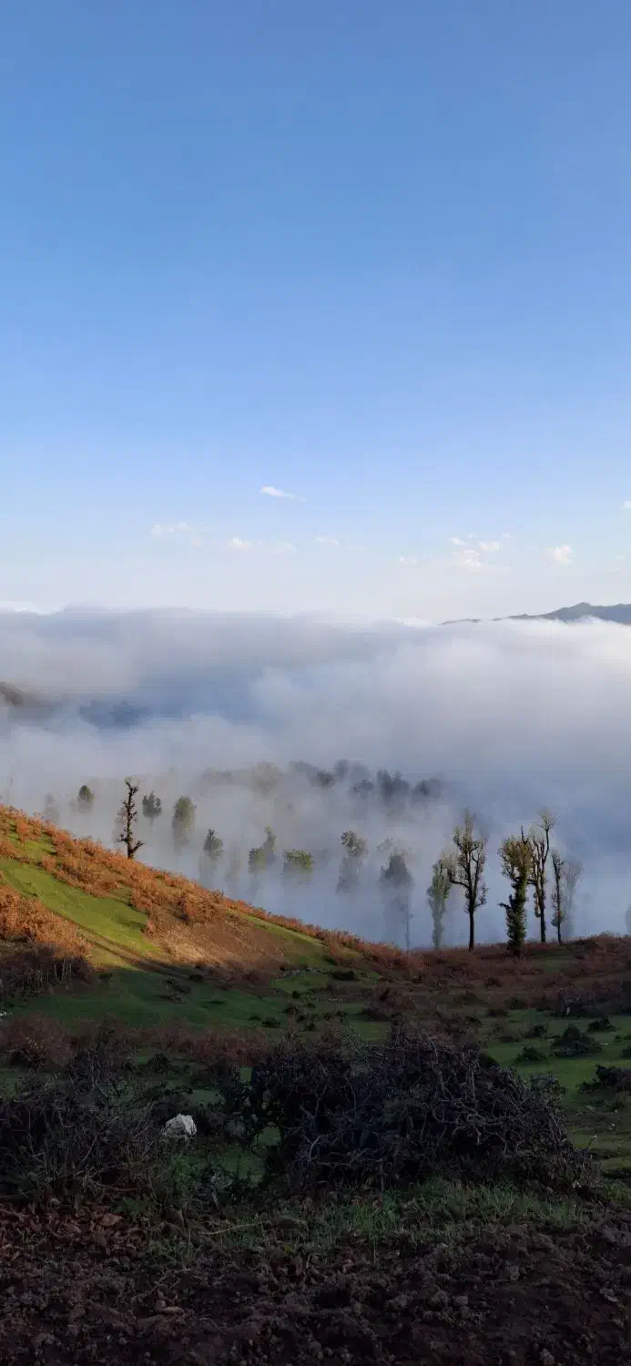 تور آفرود گیلان/ریلی و هوایی|تور و چارتر|کرمان, |دیوار