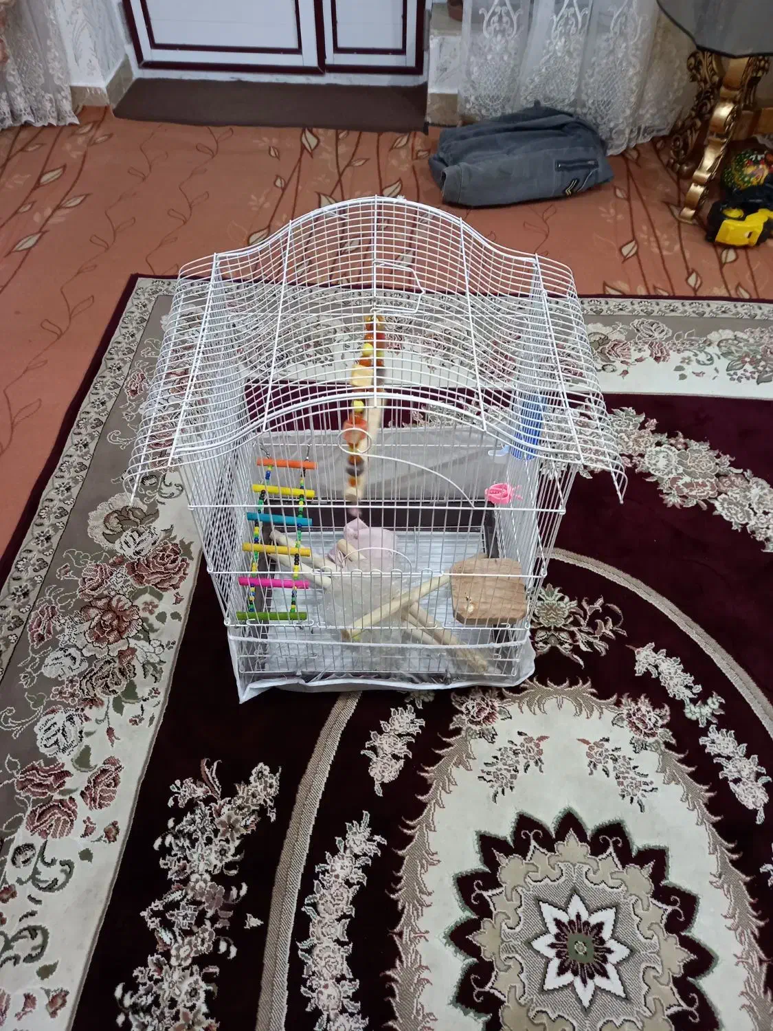 پرنده قفس|لوازم جانبی حیوانات|مرند, |دیوار