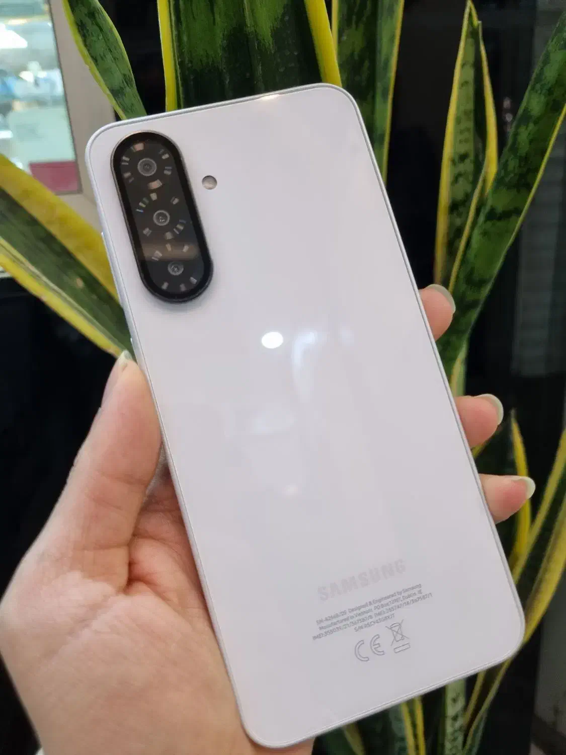 سامسونگ A26|موبایل|تهران, صادقیه|دیوار