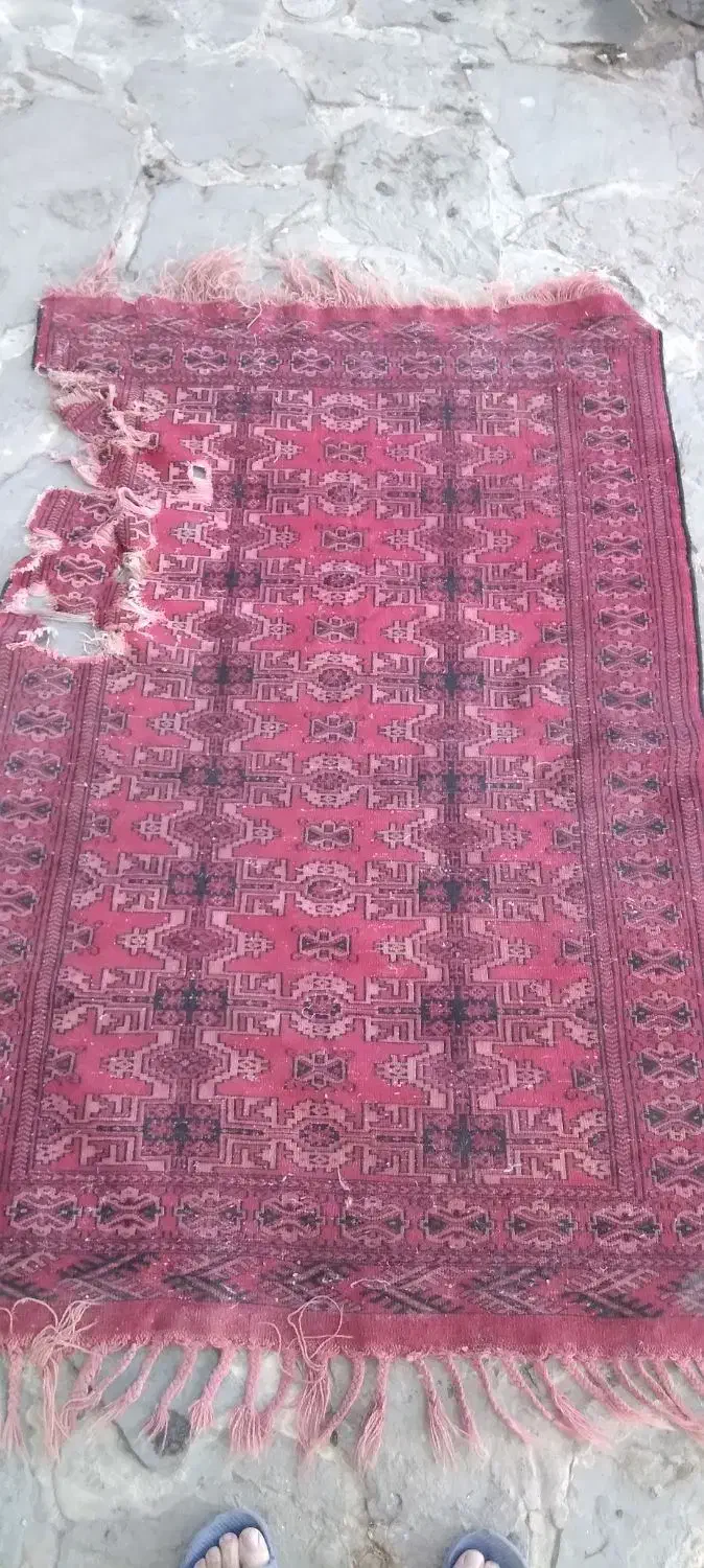 فرش دستباف|فرش|مشهد, دوست آباد|دیوار