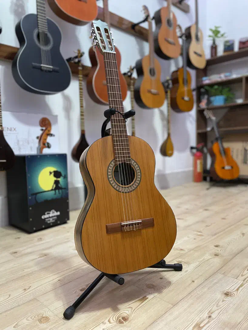 گیتار پارسی|گیتار، بیس، امپلیفایر|بیرجند, |دیوار