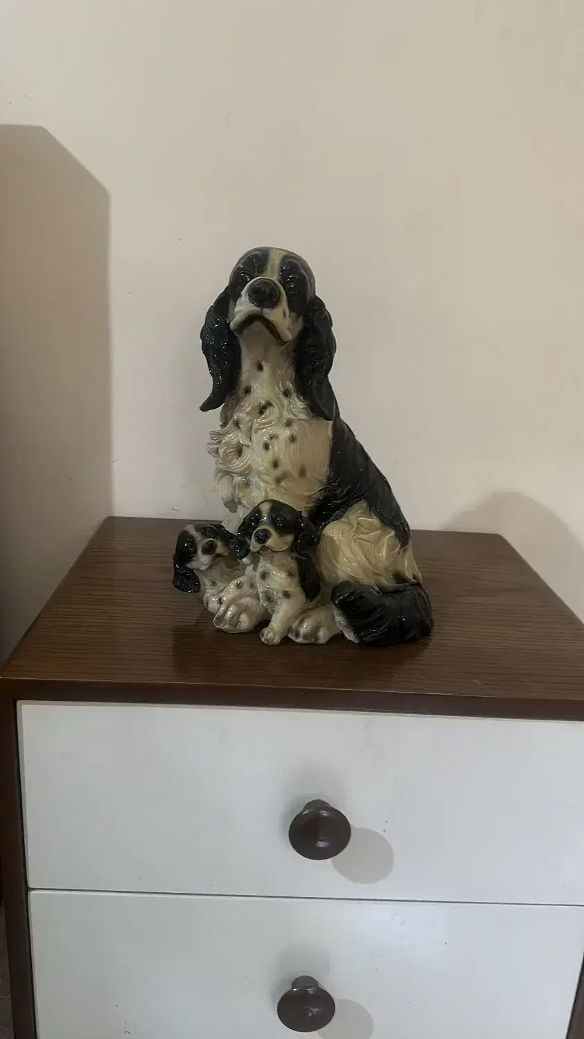 مجسمه سگ خالدار|مجسمه، تندیس، ماکت|شیراز, درکی|دیوار