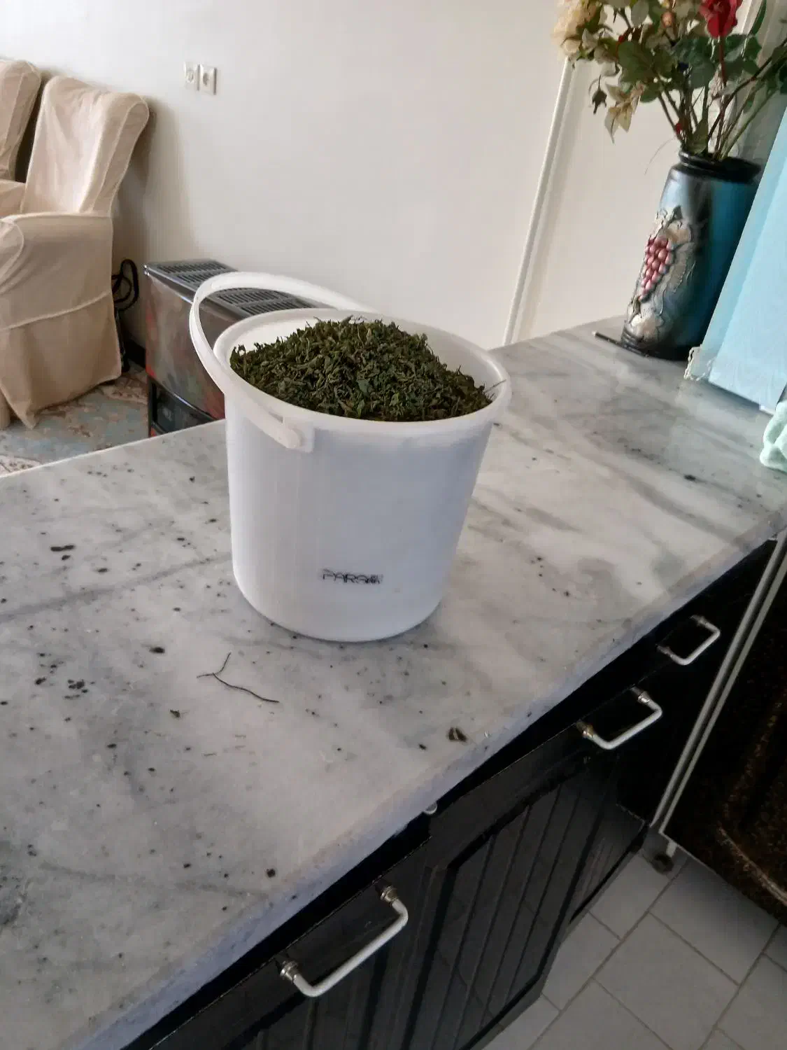 نعنا اهوازی خانگی خیلی تمز حدود ۱کیلو۹۰۰۰۰۰تومان|خوردنی و آشامیدنی|شاهین‌شهر, نسیم ۵|دیوار