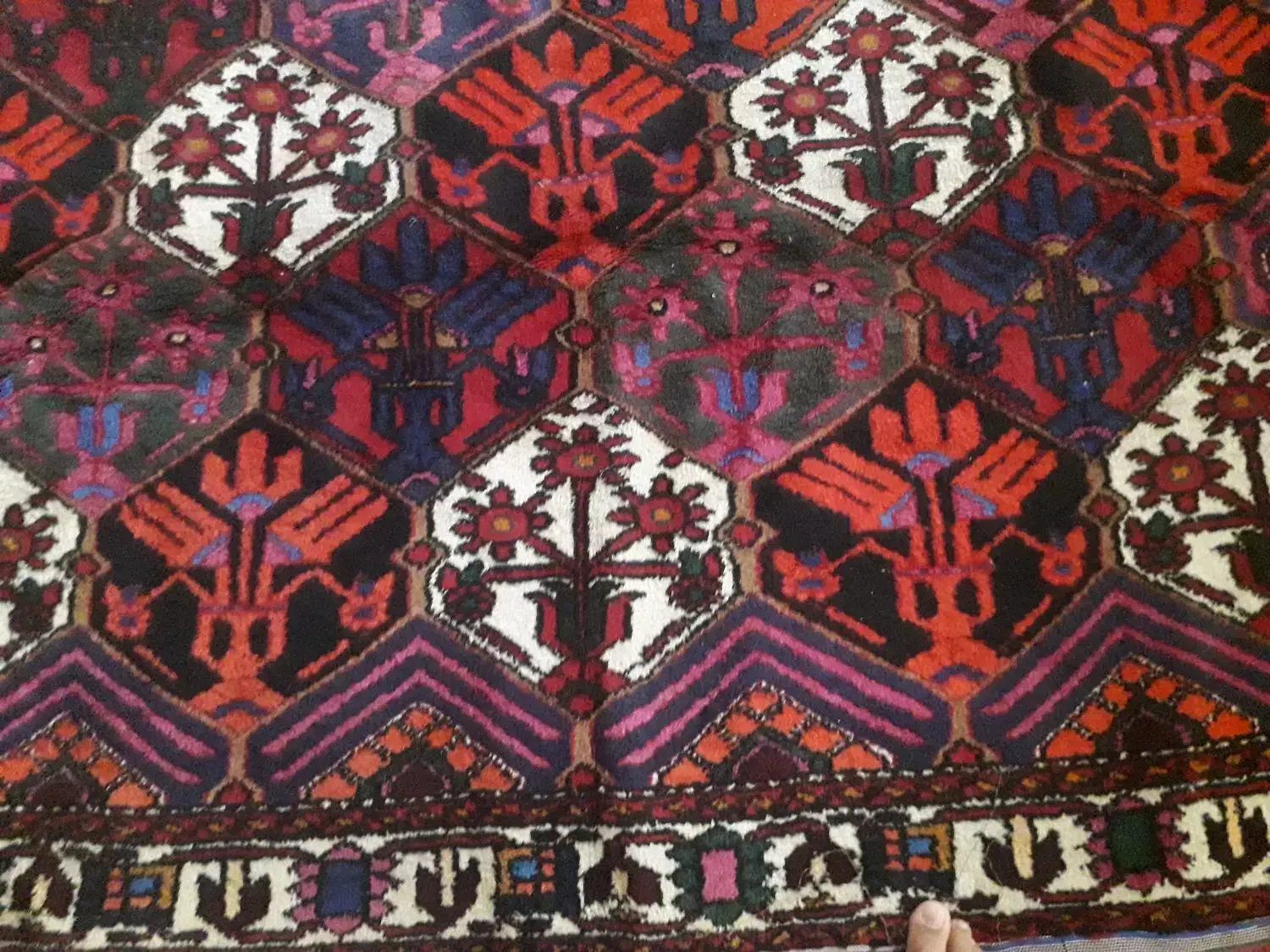 قالی|فرش|شهرکرد, |دیوار