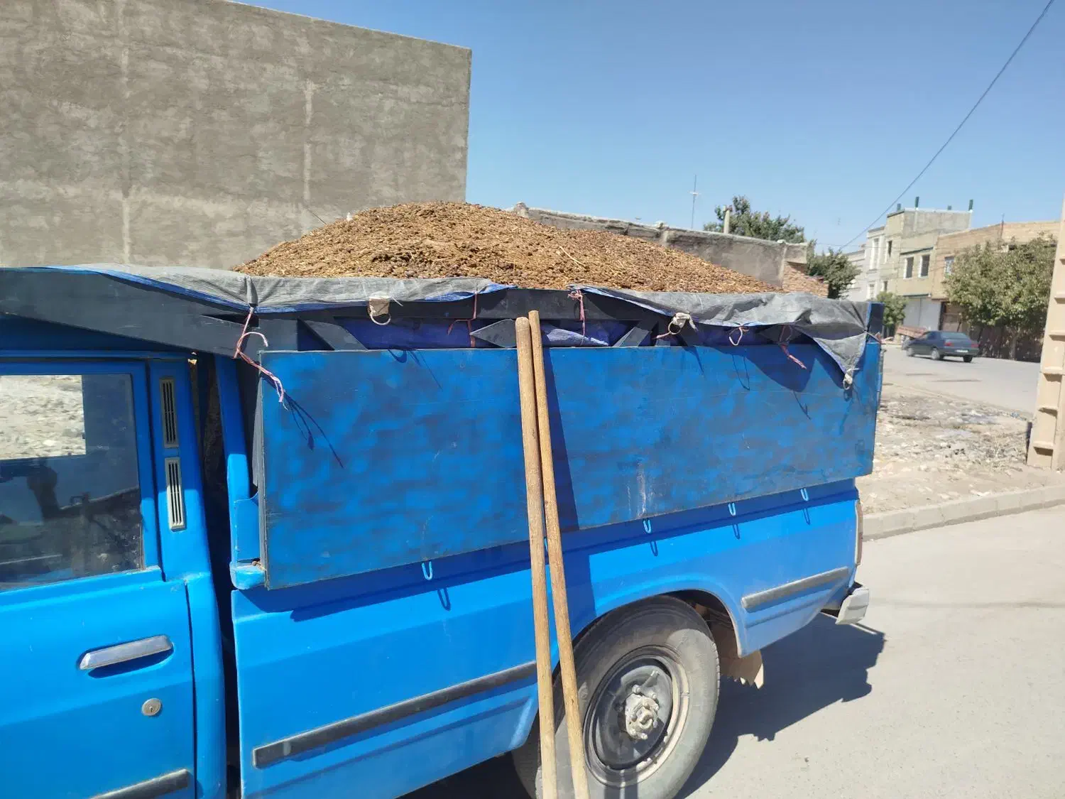 کود حیوانی گوسفندی|خدمات باغبانی و درختکاری|کوهدشت, |دیوار