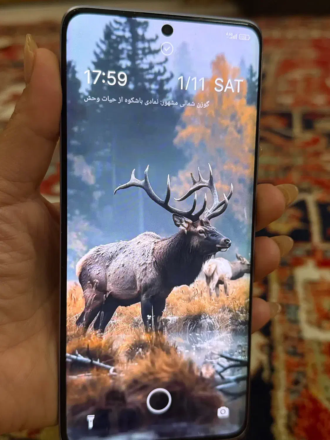 گوشی شیائومی نوت13پروپلاس5G|موبایل|اسلامشهر, مطهری|دیوار