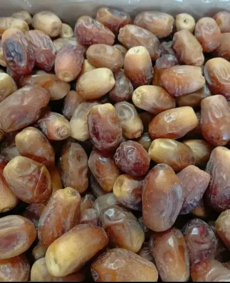 خرما زاهدی امسالی سالم خوش طعم کارتن ۶ کیلویی|حراج|سبزوار, جوادیه غربی|دیوار