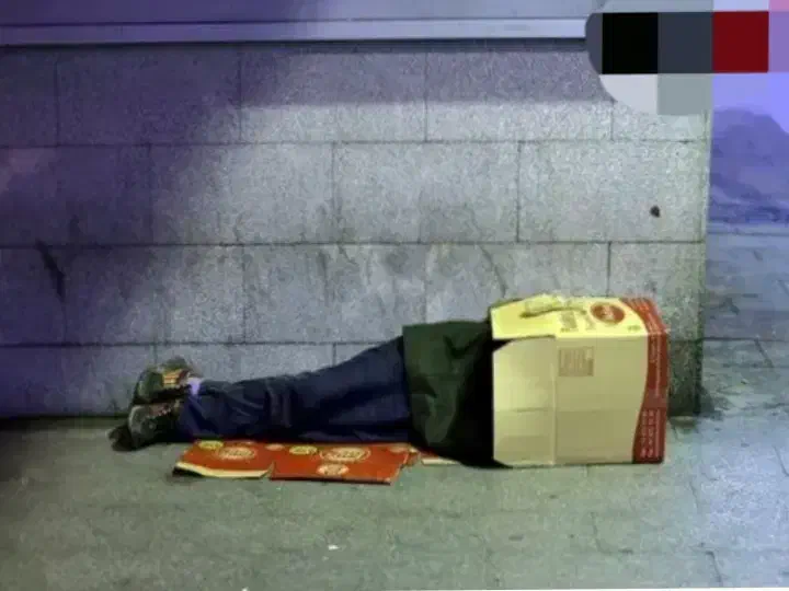 تور کارتن خوابی در شیراز و شمال|تور و چارتر|تهران, منیریه|دیوار