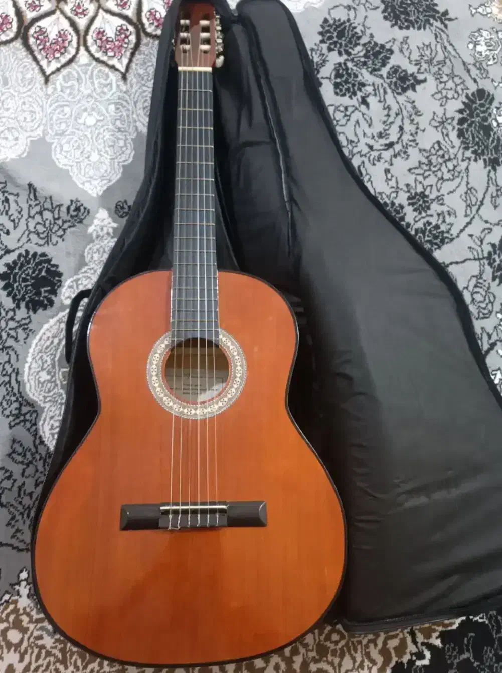 گیتار نو|گیتار، بیس، امپلیفایر|اهواز, کوی علوی|دیوار