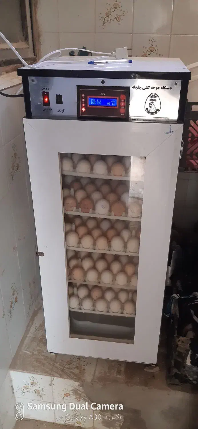 دستگاه جوجه کشی ۲۱۰ تایی و ۱۲۶تایی|ماشین‌آلات صنعتی|آران و بیدگل, |دیوار