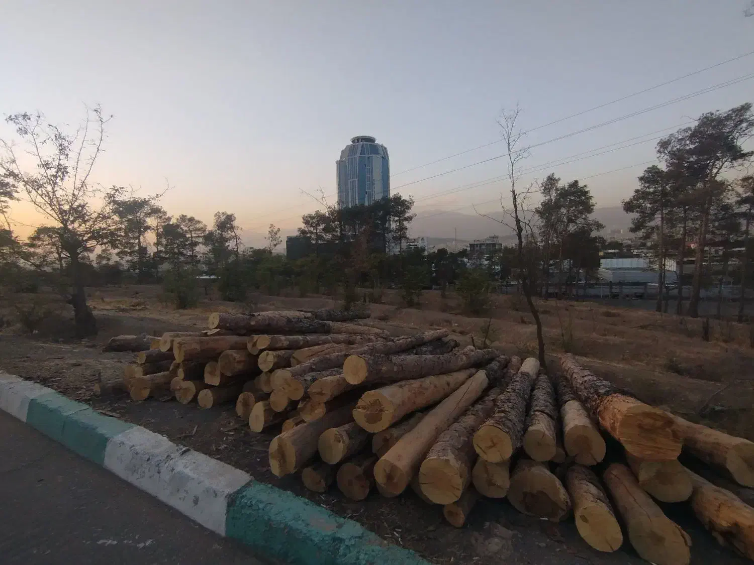 خرید انواع چوب|خدمات باغبانی و درختکاری|اقبالیه, |دیوار