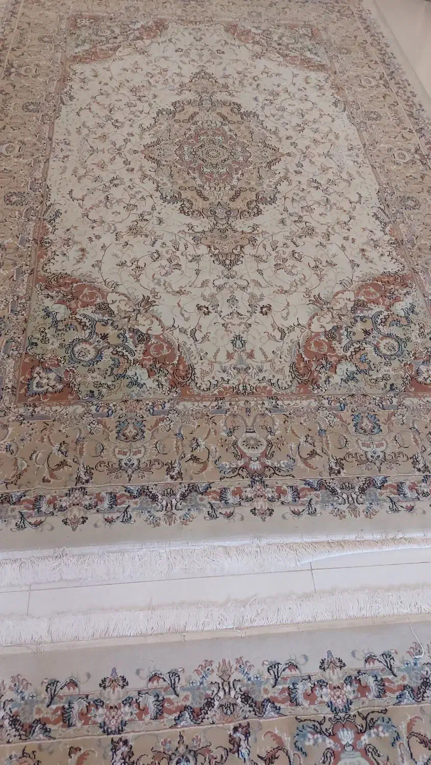 فروش فرش|فرش|رشت, بلوار گیلان|دیوار