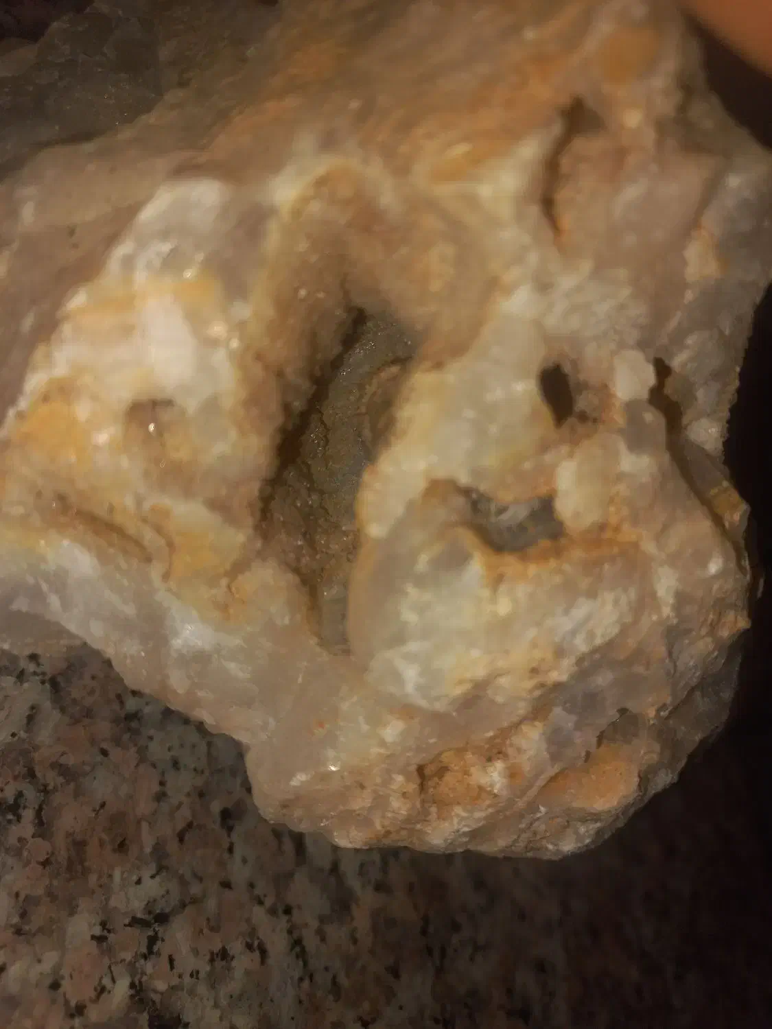 سنگ‌اکواریومی|ماهی|همدان, |دیوار